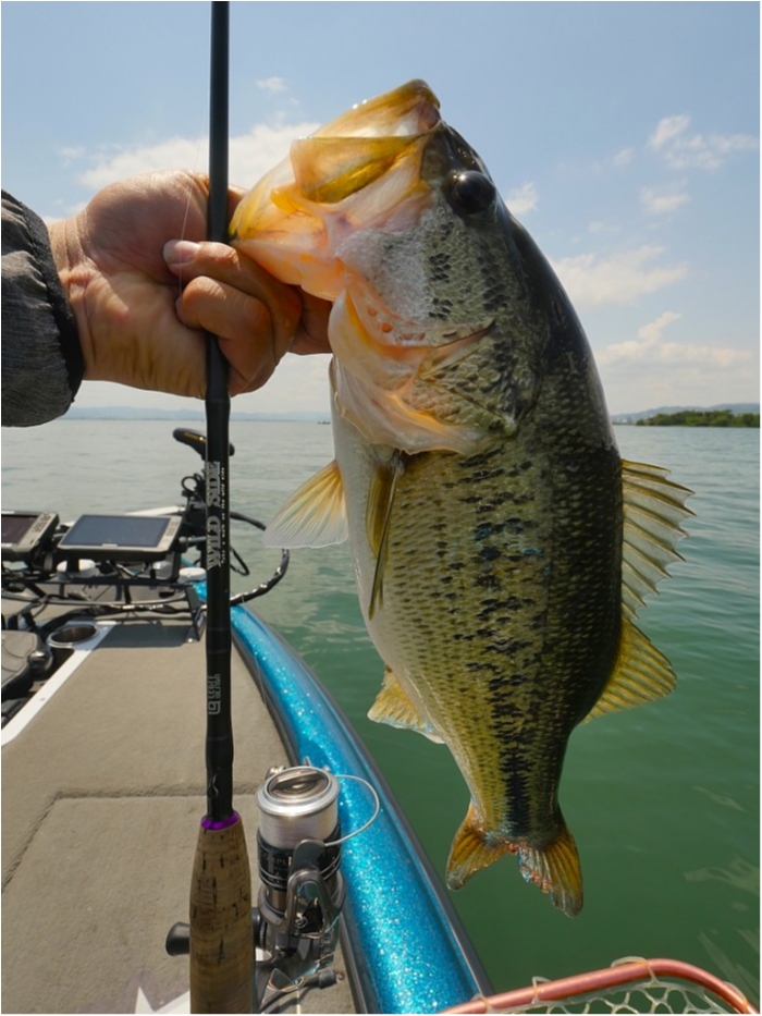 truth  ブログ写真 2019/05/17