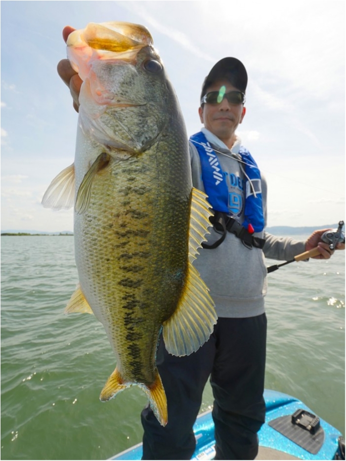 truth  ブログ写真 2019/05/17