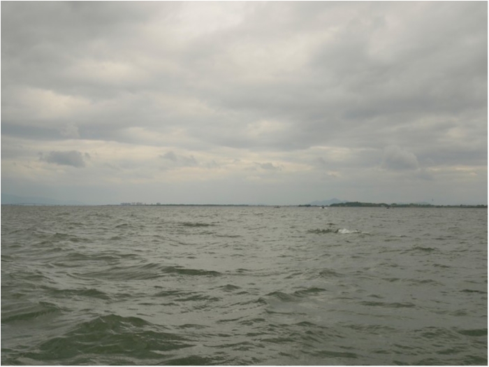 truth  ブログ写真 2019/05/18