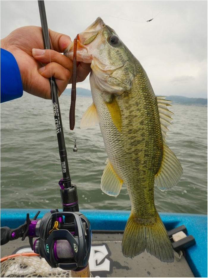 truth  ブログ写真 2019/05/18