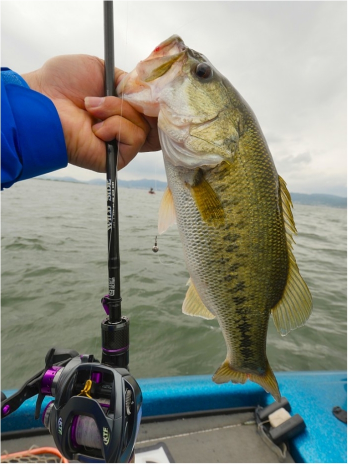 truth  ブログ写真 2019/05/18