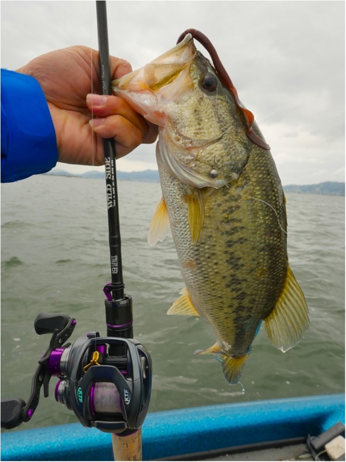 truth  ブログ写真 2019/05/18