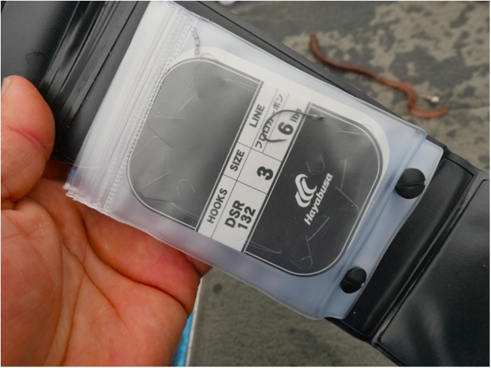 truth  ブログ写真 2019/05/18