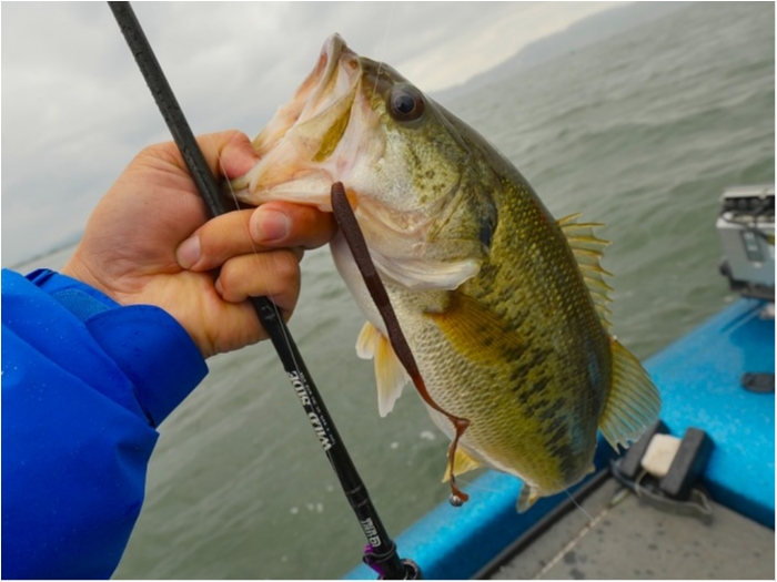 truth  ブログ写真 2019/05/18