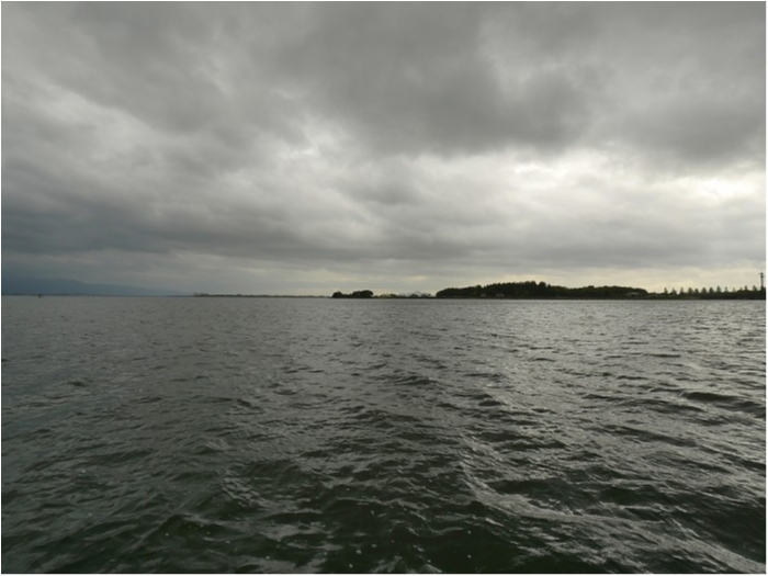 truth  ブログ写真 2019/05/20