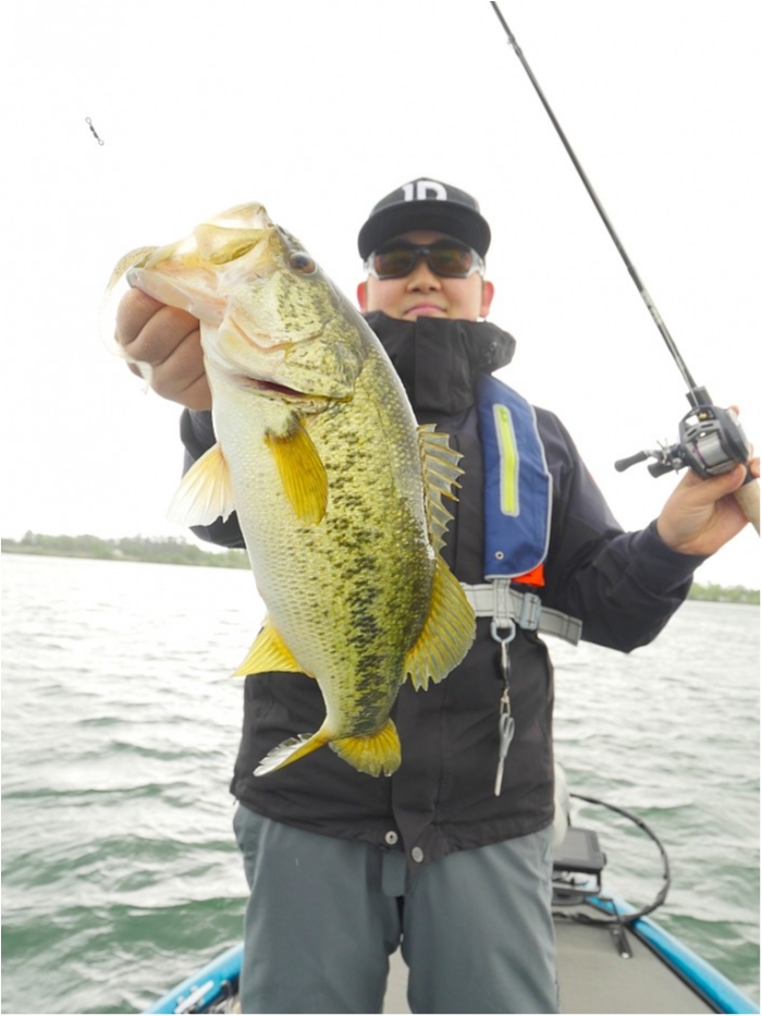 truth  ブログ写真 2019/05/20