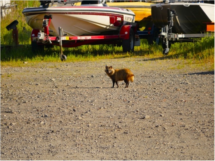 truth ブログ写真 2019/05/23