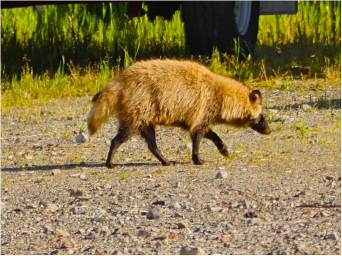 truth ブログ写真 2019/05/23