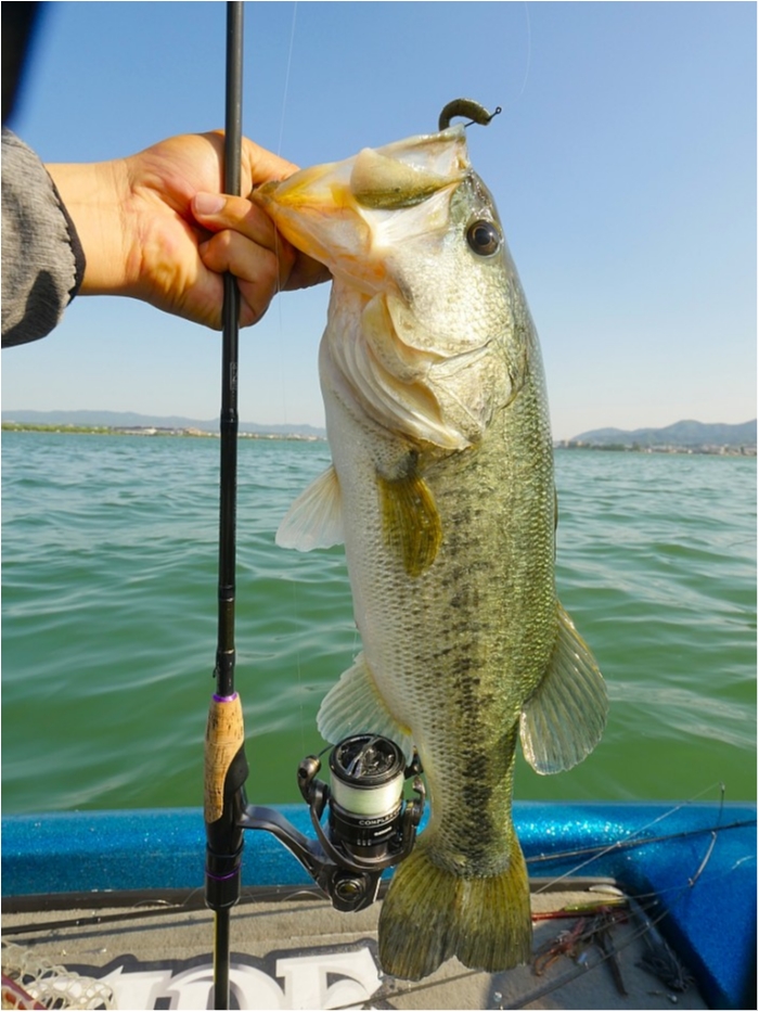 truth ブログ写真 2019/05/23