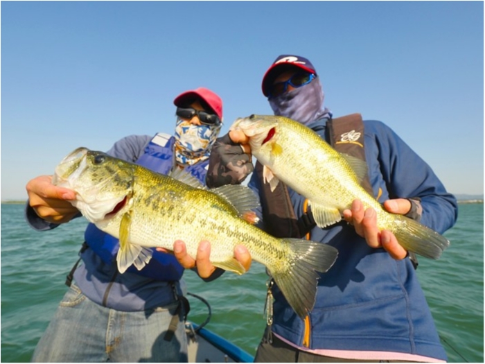 truth ブログ写真 2019/05/23