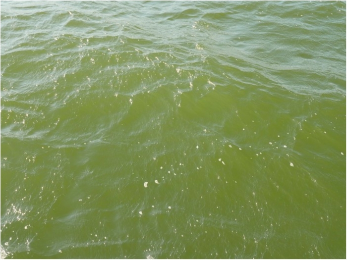 truth ブログ写真 2019/05/23