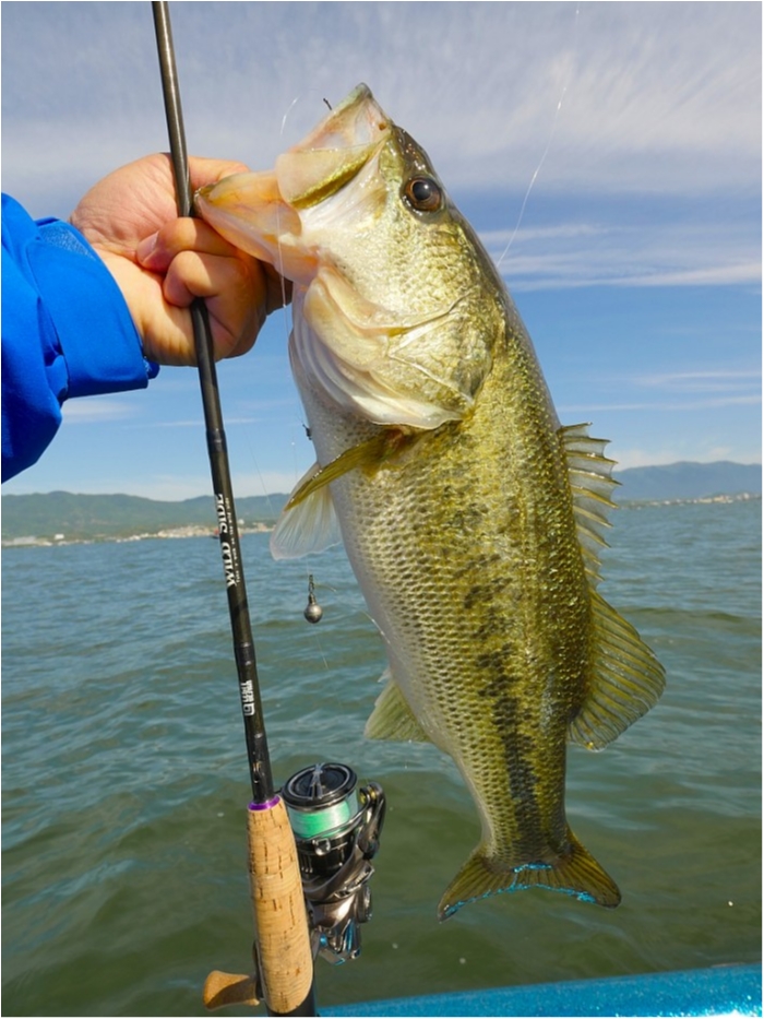 truth ブログ写真 2019/05/23