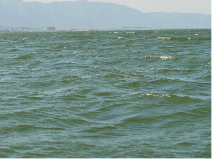 truth ブログ写真 2019/05/23