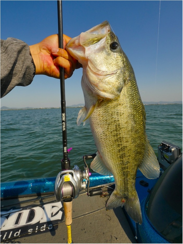 truth ブログ写真 2019/05/24