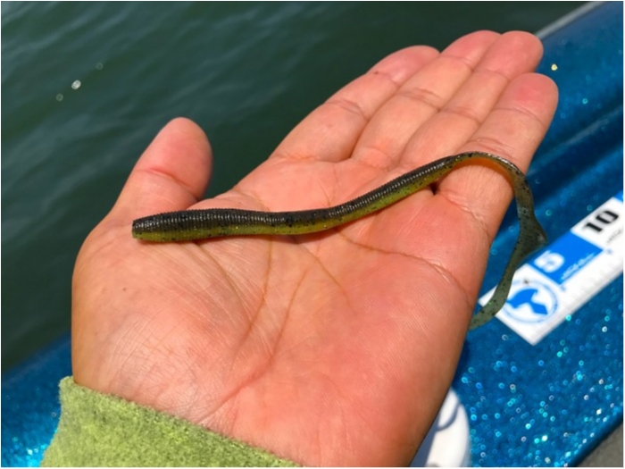 truth ブログ写真 2019/05/26