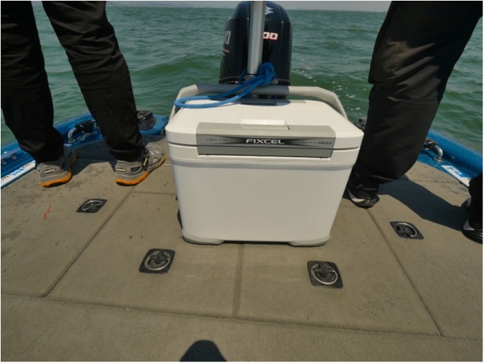 truth ブログ写真 2019/05/26