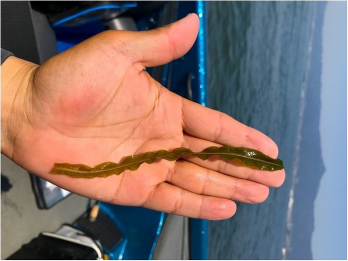 truth ブログ写真 2019/05/26