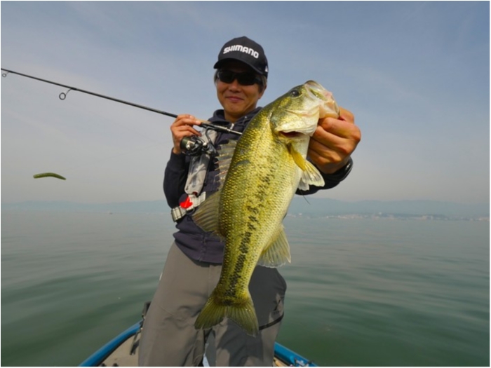 truth ブログ写真 2019/05/27