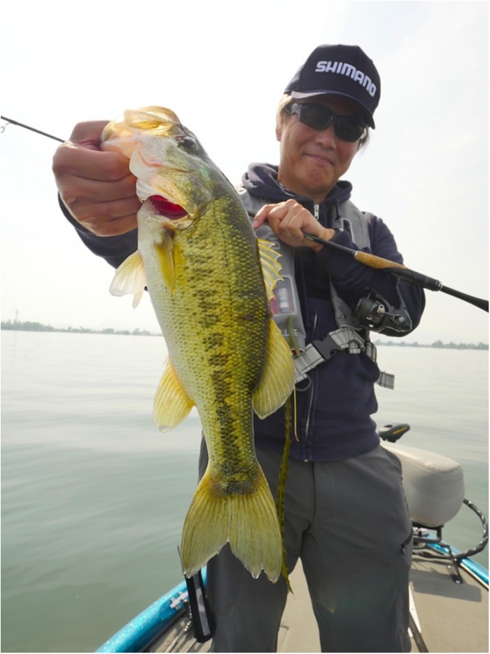 truth ブログ写真 2019/05/27