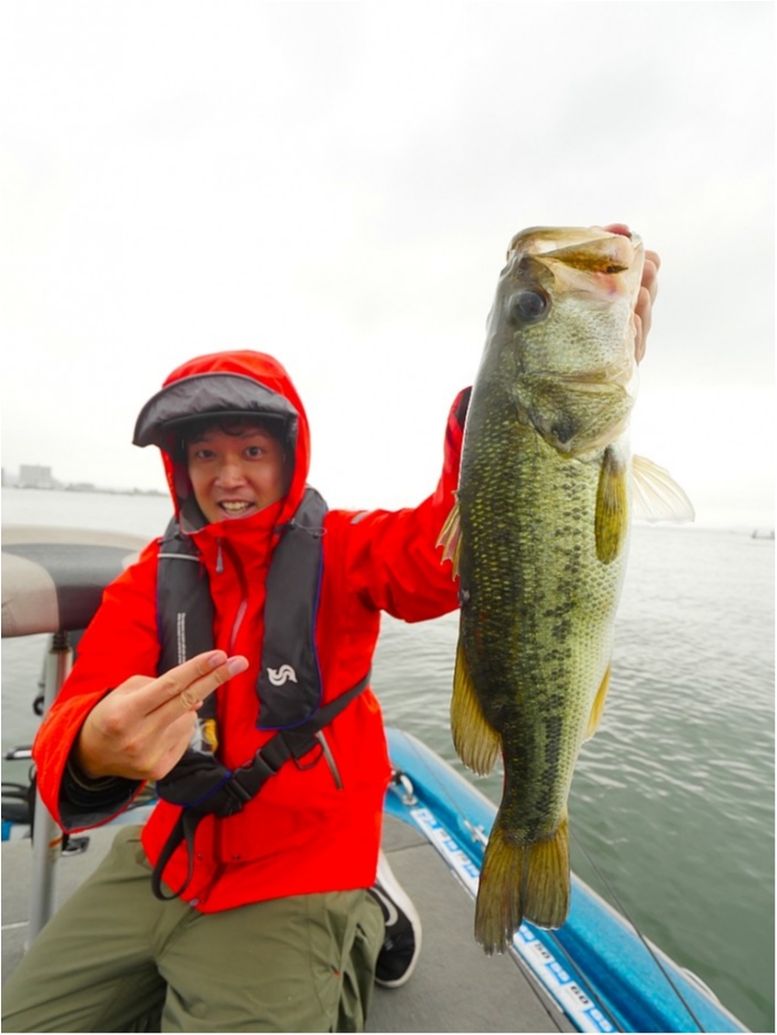 truth  ブログ写真 2019/06/08