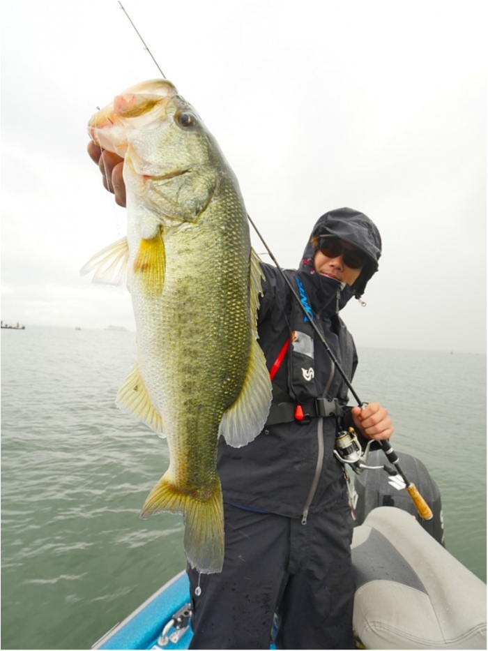 truth  ブログ写真 2019/06/08