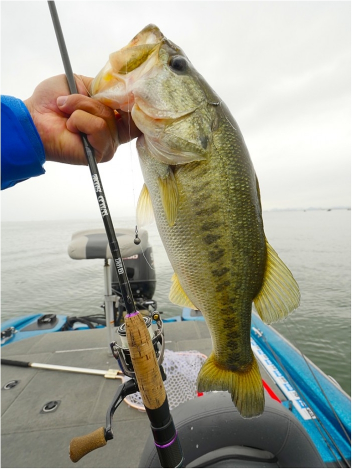 truth  ブログ写真 2019/06/08