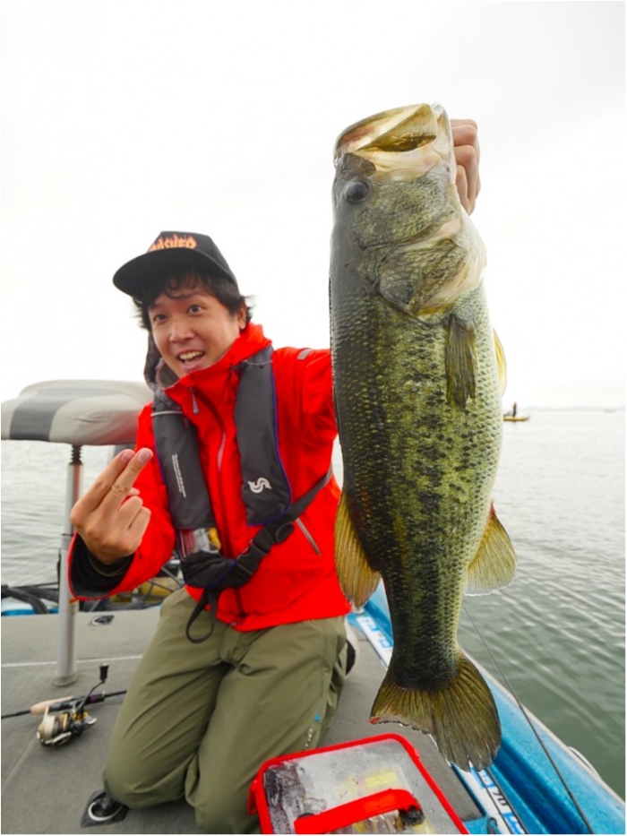 truth  ブログ写真 2019/06/08