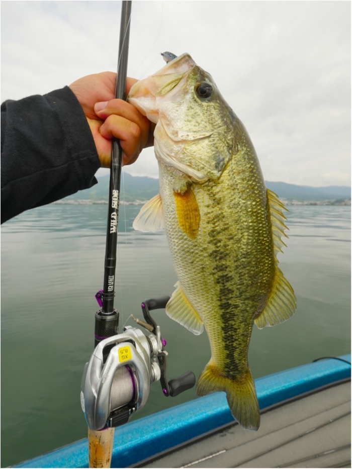 truth  ブログ写真 2019/06/11