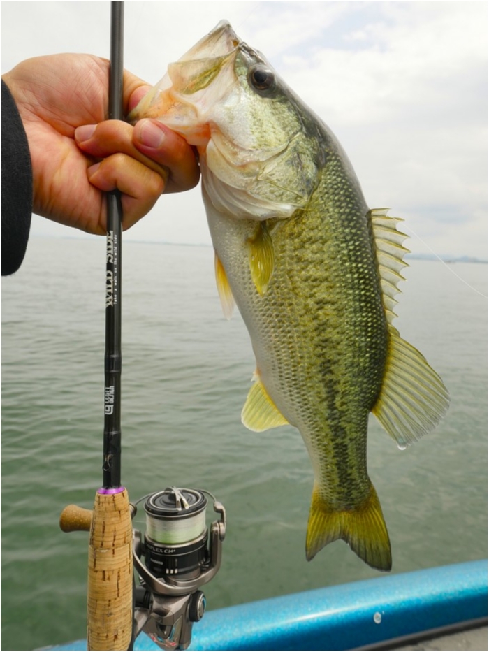 truth  ブログ写真 2019/06/11