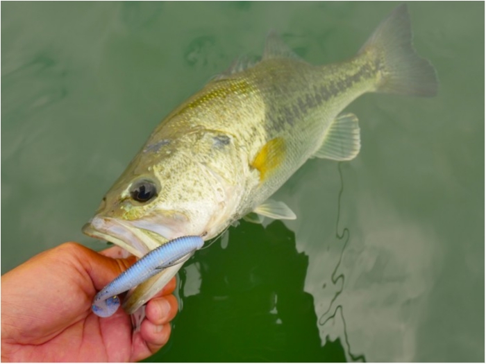 truth  ブログ写真 2019/06/11