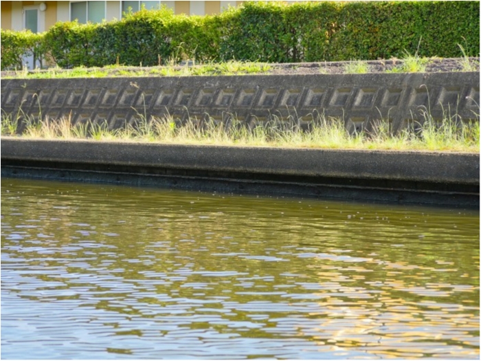 truth  ブログ写真 2019/06/14