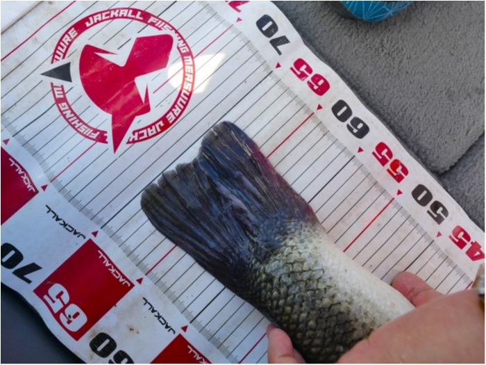 truth  ブログ写真 2019/06/14