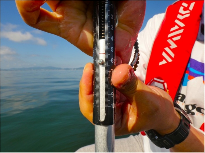 truth  ブログ写真 2019/06/14