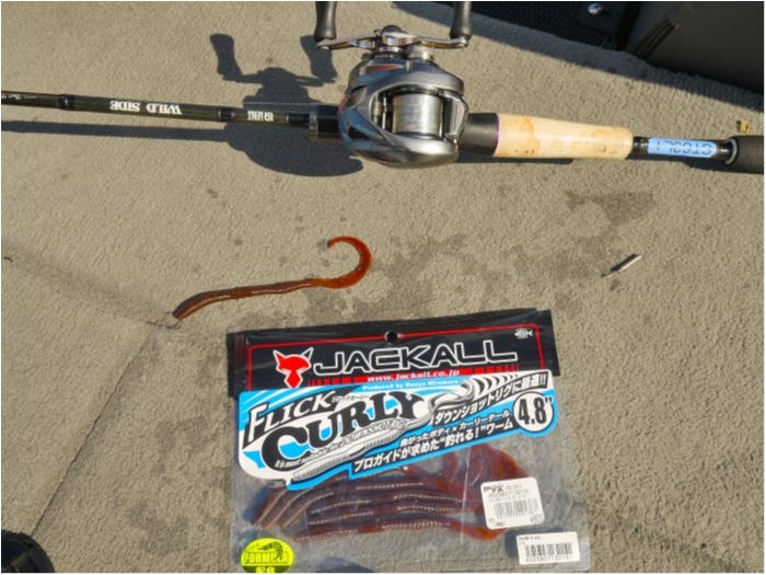 truth  ブログ写真 2019/06/14