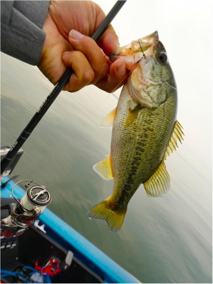 truth ブログ写真 2019/06/19