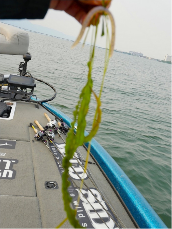 truth ブログ写真 2019/06/19