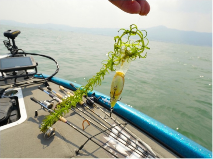 truth ブログ写真 2019/06/20