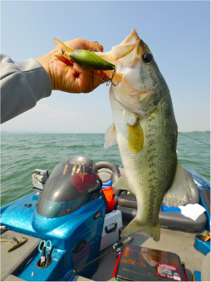 truth ブログ写真 2019/06/20