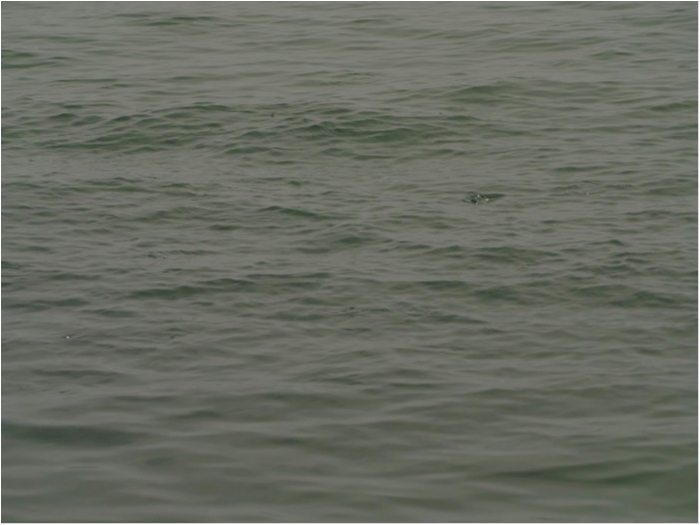 truth ブログ写真 2019/06/21