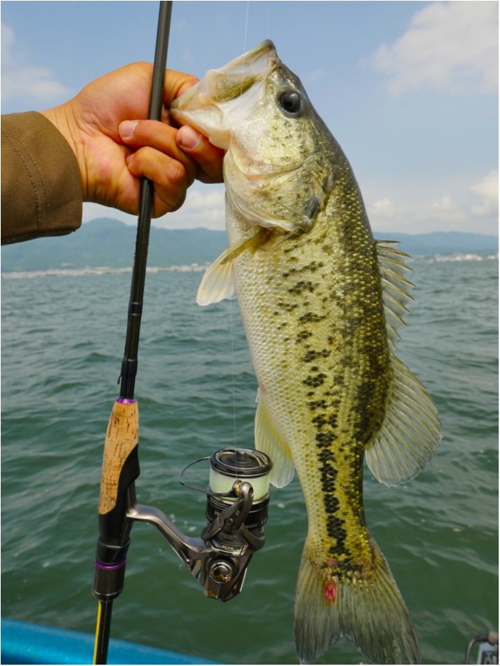 truth ブログ写真 2019/06/23