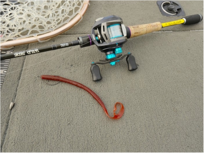 truth ブログ写真 2019/06/23