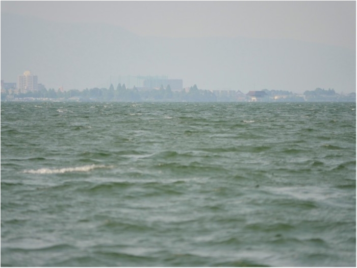 truth ブログ写真 2019/06/23