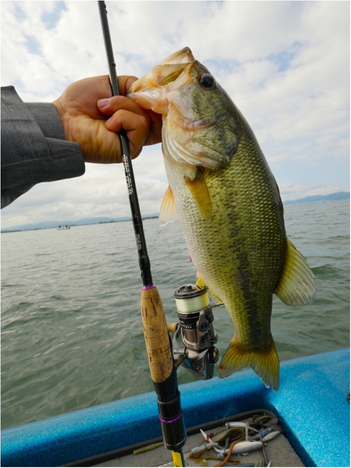 truth ブログ写真 2019/06/24