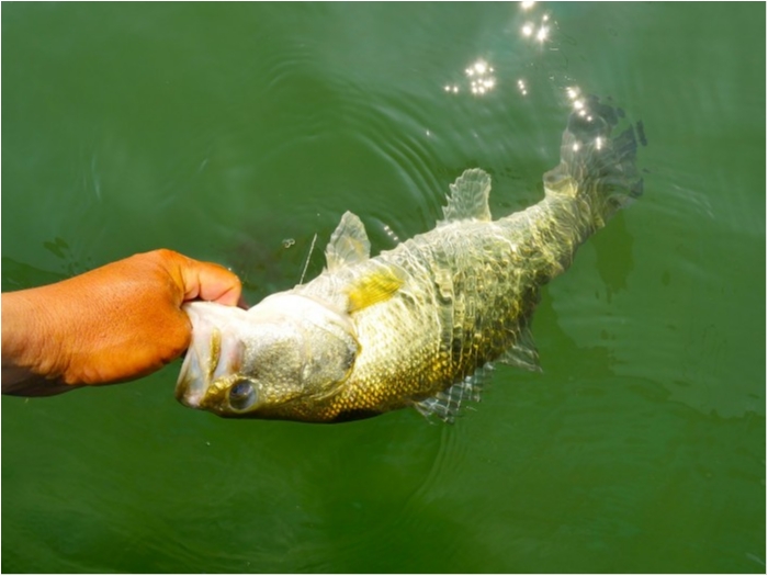 truth ブログ写真 2019/06/24