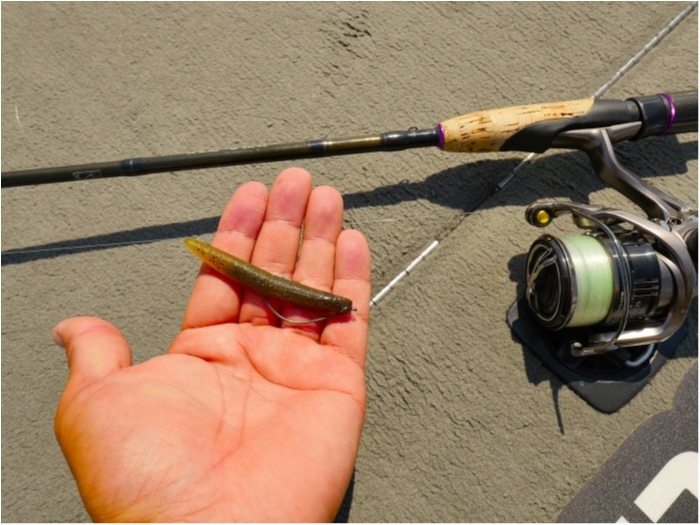 truth ブログ写真 2019/06/24