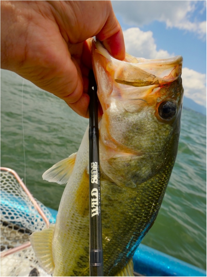 truth ブログ写真 2019/06/24