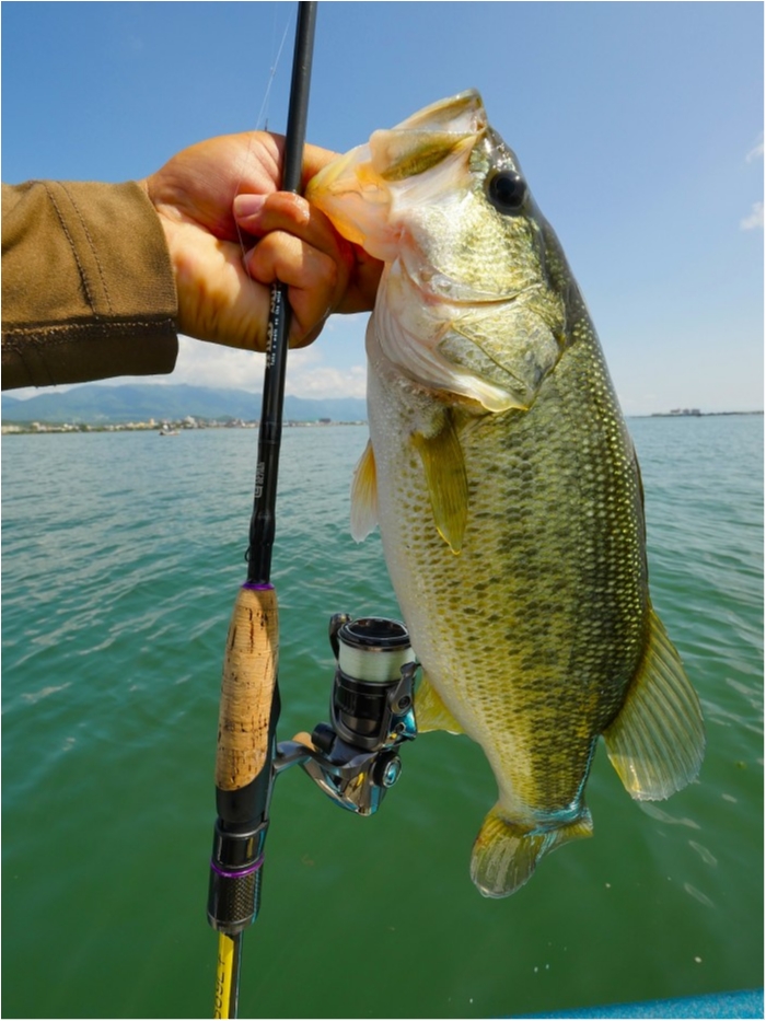 truth ブログ写真 2019/06/24