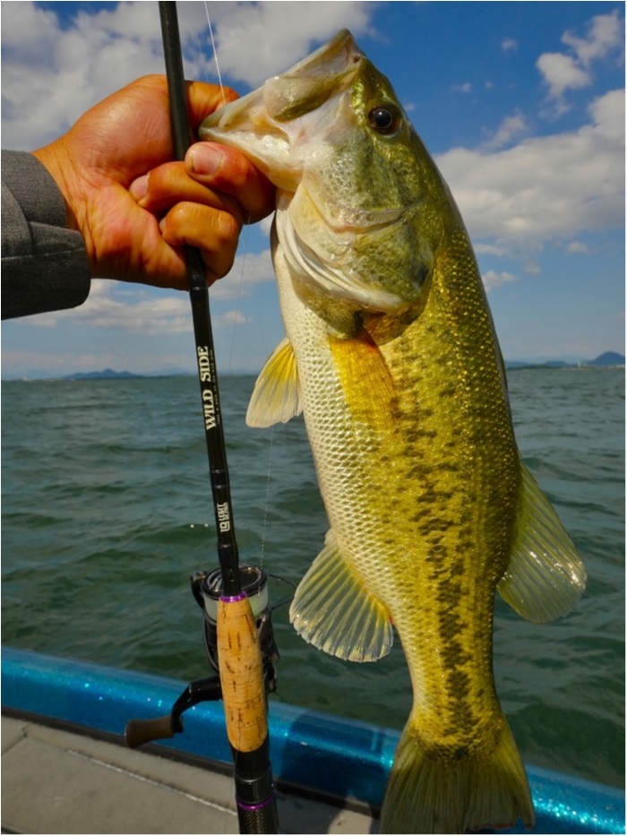 truth ブログ写真 2019/06/24