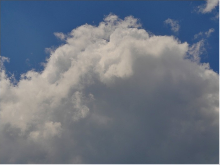 truth ブログ写真 2019/06/24