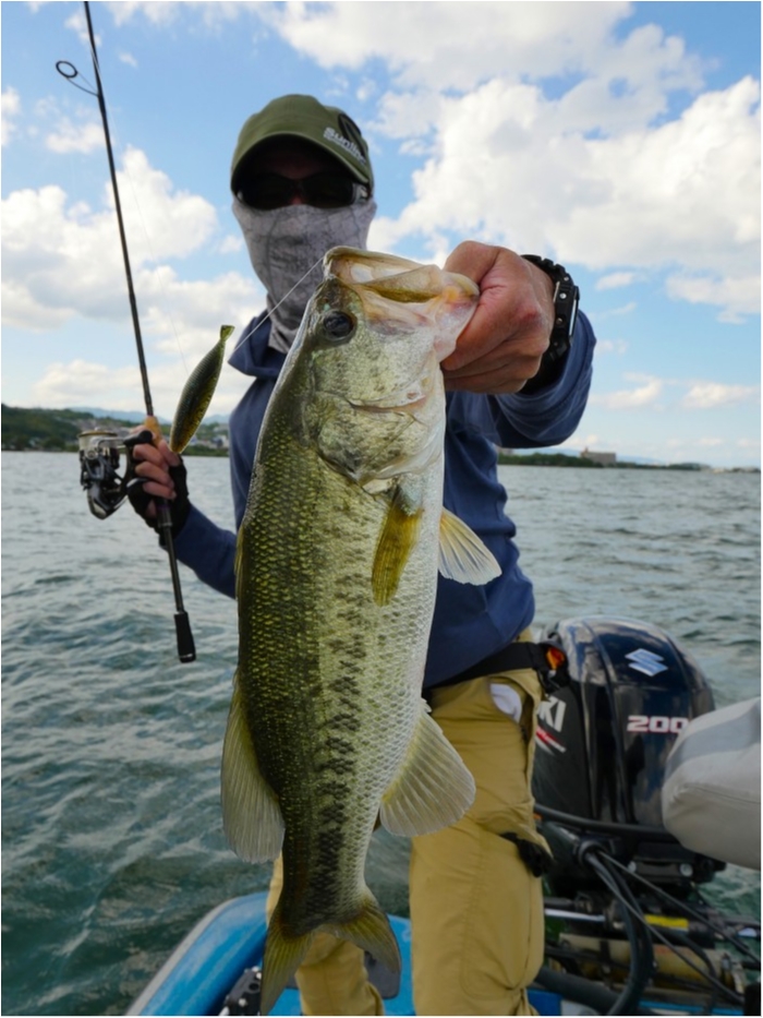 truth ブログ写真 2019/06/24